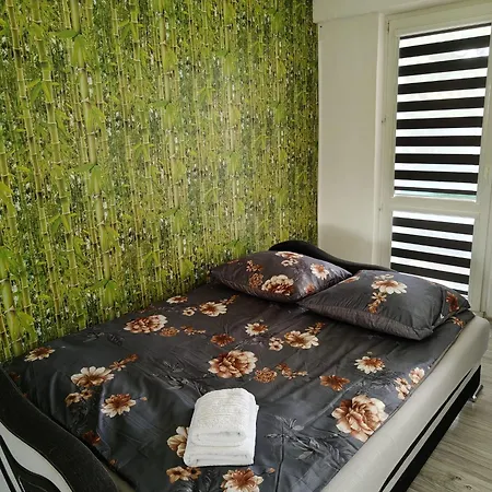 Comfy Zbyszewskiego * Rzeszów