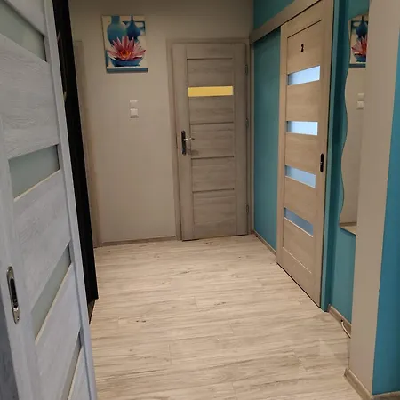 Comfy Zbyszewskiego
